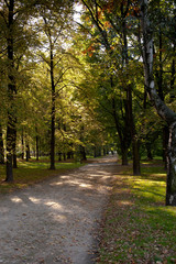 Park Saski in Autumn, Warsaw, Poland