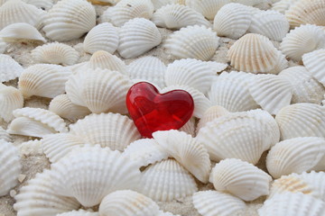 Muschelhintergrund mit Herz