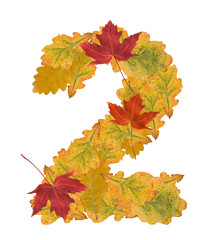 Number of autumn leaves . Number 2
