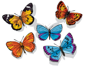 Obraz na płótnie Canvas Butterfly Set