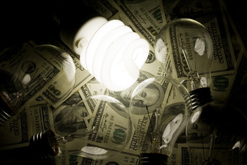 Compact Fluorescent Light bulb and dollar