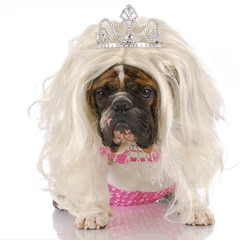 ugly princess