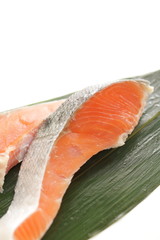 Japanese ingredient, freshness salmon