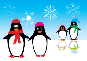 penguin family on ice with reflection