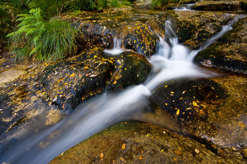 Small river waterfall at autumn in the portuguese national park