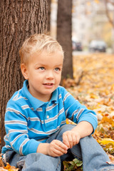 Cheerful boy sitting on yellow foliage .