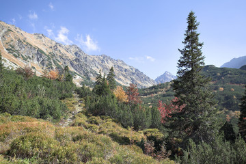 Autumn in the mountains