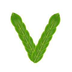 Obraz premium Letter V