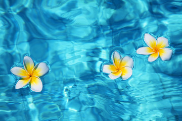 Fototapeta na wymiar Kwiaty w wodzie