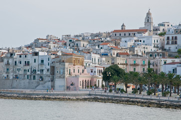 Fototapeta premium vieste