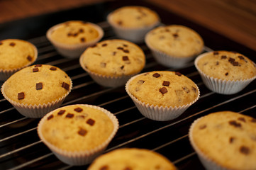 Muffins