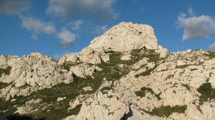 provence sauvage