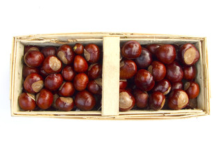 chestnuts in a bastket