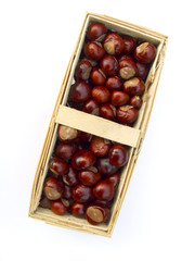 Obraz premium chestnuts in a basket