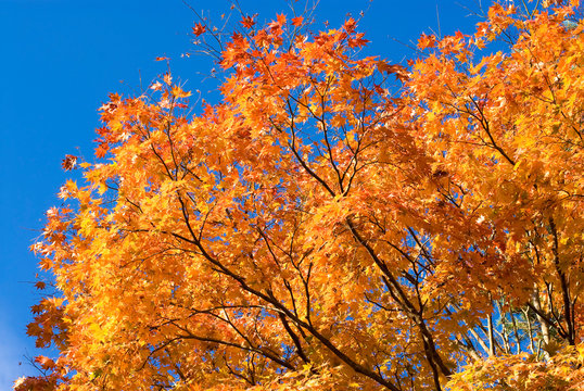 1 990 Best 山中湖村images Stock Photos Vectors Adobe Stock 1 990 Best 山中湖村images Stock Photos Vectors Adobe Stock