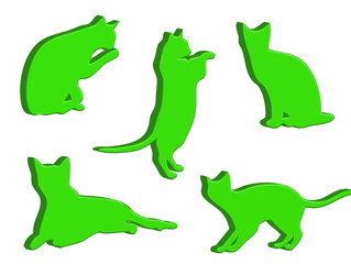 Gatti in 3d