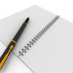 Notebook and pen
