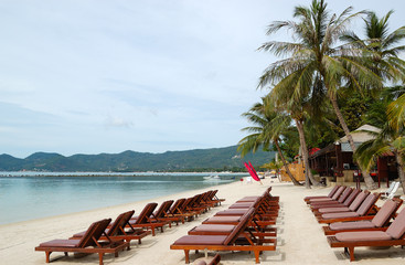 Beach with sunbeds and coconut palm trees, Samui island, Thailan