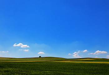 horizont