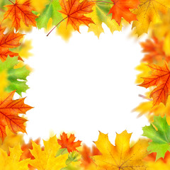 Naklejka na ściany i meble frame from autumn leaves isolated on white