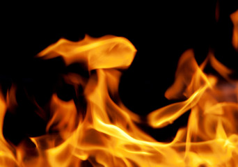 Fototapeta premium fire
