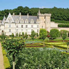 Fototapeta premium villandry