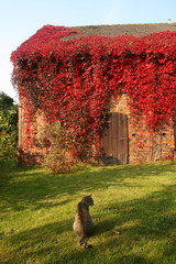 jesienny poranek © ottoflick