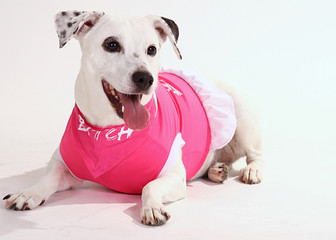 Lilly
