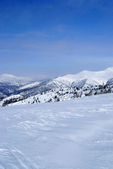Fototapeta premium Western Sayan mountains. Ergaky. Siberia. Russia in winter time.