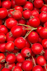 Berries  wild  useful   hawthorn