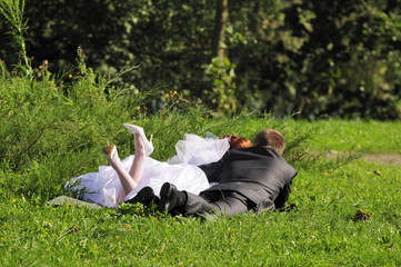 Wedding pair on the meadow