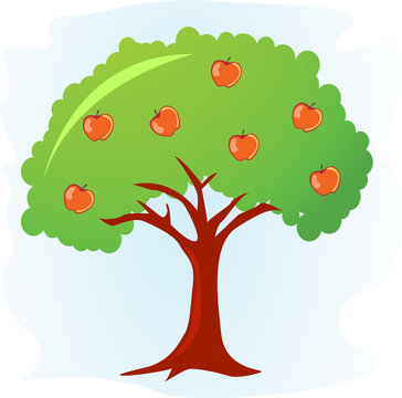 apple tree