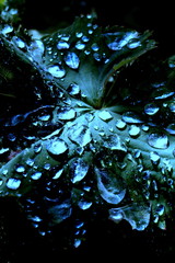 Wassertropfen abstrakt 52119