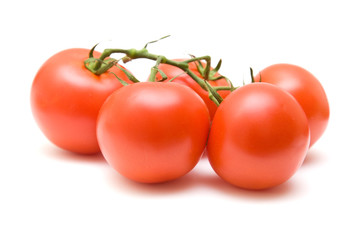 branch of vine tomatoes isolated on white