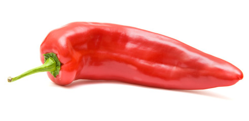 dark shiny red sweet romano pepper isolated on white background