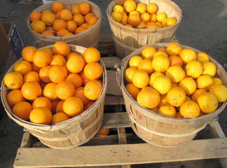 Oranges in round wood crates