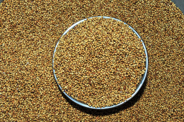 lentil seed sell in the market