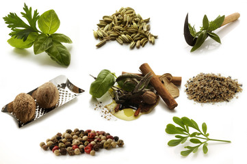 Erbe e spezie © Comugnero Silvana