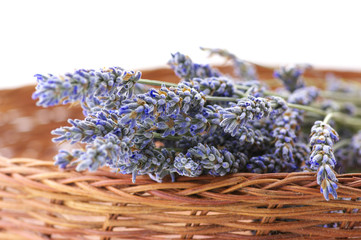 Buhch of lavander in basket