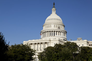 Fototapeta na wymiar United States Capitol Building, Washington, DC