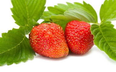 Beautiful strawberries isolated on white with a shade. macro