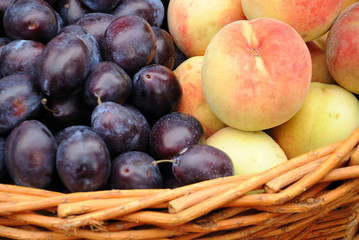peach and plum crop in a basket