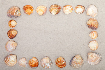 sand with frame of shells