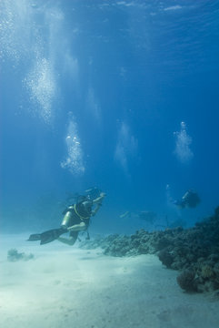 Scuba divers during a dive in clear shallow water.
