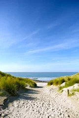 Papier Peint photo Mer du Nord, Pays-Bas Beach and sand dunes