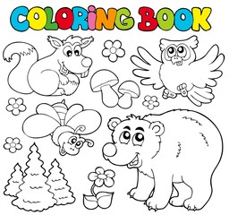 Livre de coloriage avec des animaux de la forêt 1