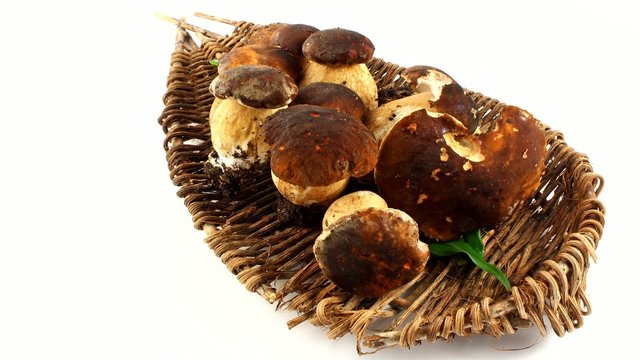 Autunno - Castagne e Funghi Porcini