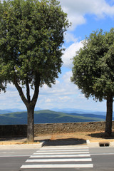 Obraz premium Zebrastreifen