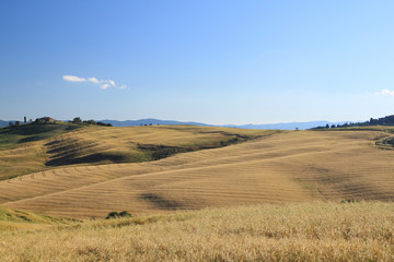 Fototapeta premium Felder