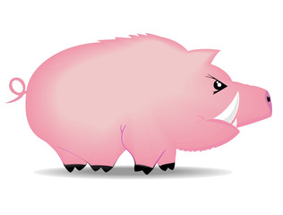 vector illustration of angry pig